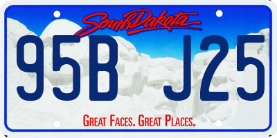 SD license plate 95BJ25