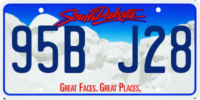 SD license plate 95BJ28