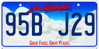 SD license plate 95BJ29