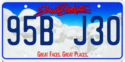 SD license plate 95BJ30