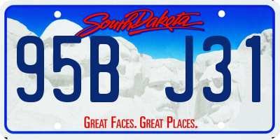 SD license plate 95BJ31