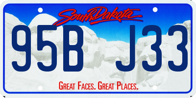 SD license plate 95BJ33