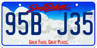 SD license plate 95BJ35