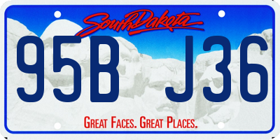 SD license plate 95BJ36