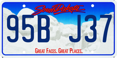SD license plate 95BJ37