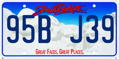 SD license plate 95BJ39