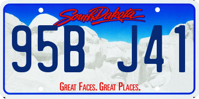 SD license plate 95BJ41