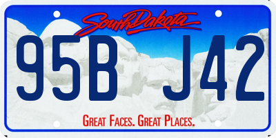 SD license plate 95BJ42