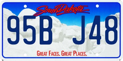 SD license plate 95BJ48