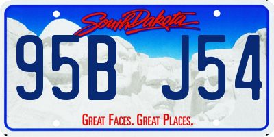 SD license plate 95BJ54