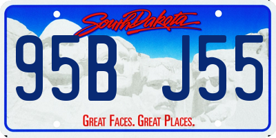 SD license plate 95BJ55