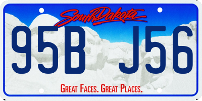 SD license plate 95BJ56