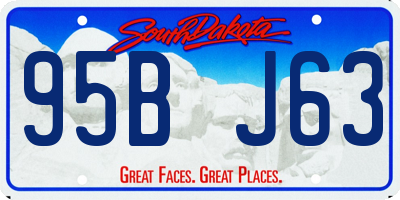 SD license plate 95BJ63