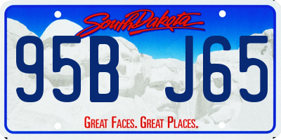 SD license plate 95BJ65