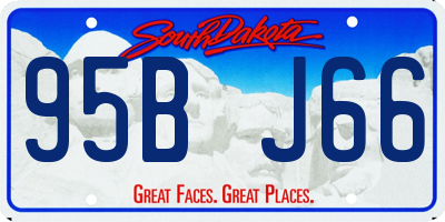 SD license plate 95BJ66