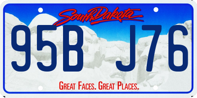 SD license plate 95BJ76