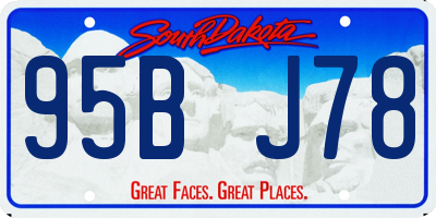 SD license plate 95BJ78
