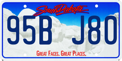 SD license plate 95BJ80