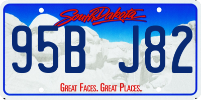 SD license plate 95BJ82