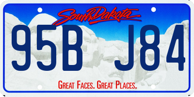 SD license plate 95BJ84