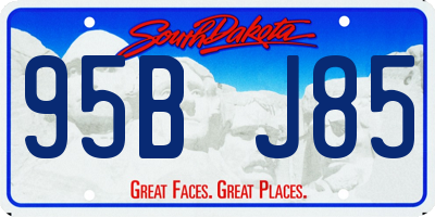 SD license plate 95BJ85