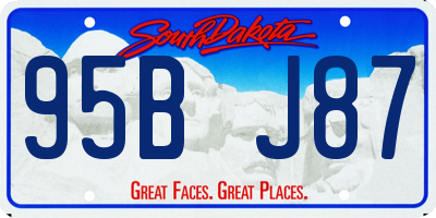 SD license plate 95BJ87