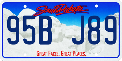 SD license plate 95BJ89