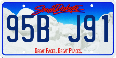 SD license plate 95BJ91