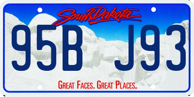 SD license plate 95BJ93