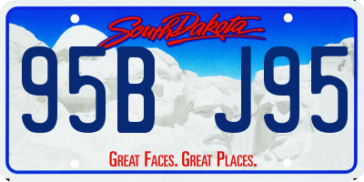 SD license plate 95BJ95