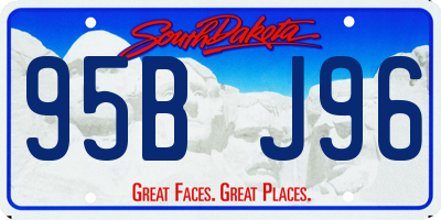 SD license plate 95BJ96