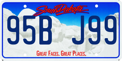 SD license plate 95BJ99