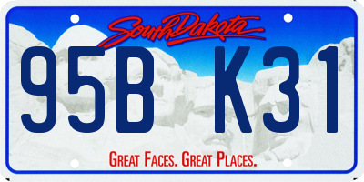 SD license plate 95BK31