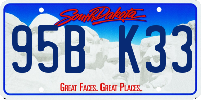 SD license plate 95BK33