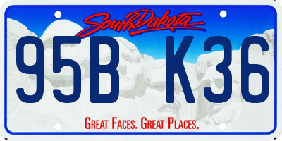SD license plate 95BK36