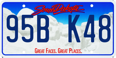 SD license plate 95BK48