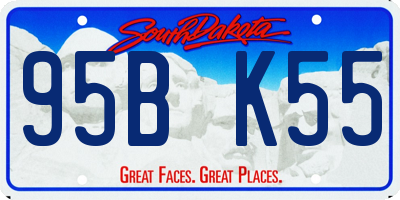 SD license plate 95BK55