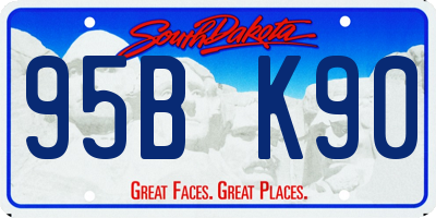 SD license plate 95BK90