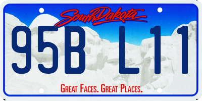 SD license plate 95BL11
