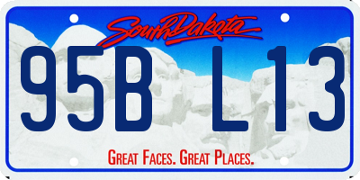 SD license plate 95BL13