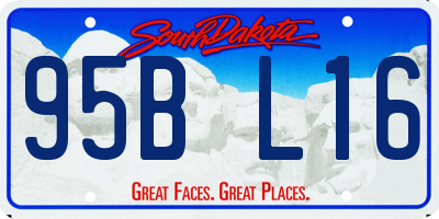 SD license plate 95BL16