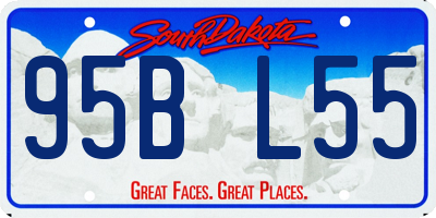SD license plate 95BL55