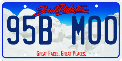 SD license plate 95BM00