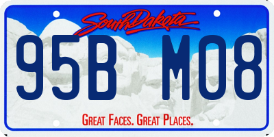 SD license plate 95BM08