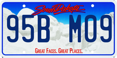 SD license plate 95BM09