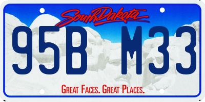 SD license plate 95BM33
