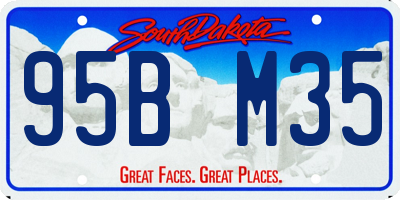 SD license plate 95BM35