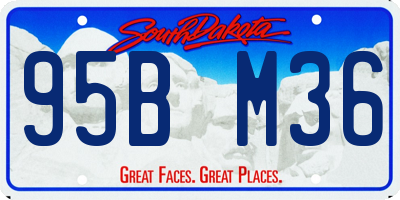 SD license plate 95BM36