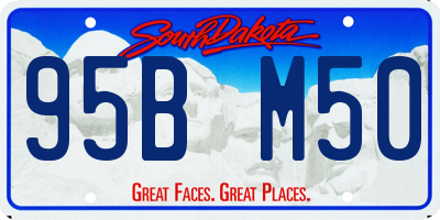 SD license plate 95BM50