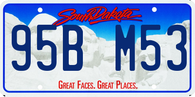 SD license plate 95BM53